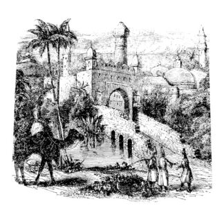 Arabian Nights
