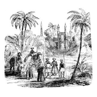 Arabian Nights